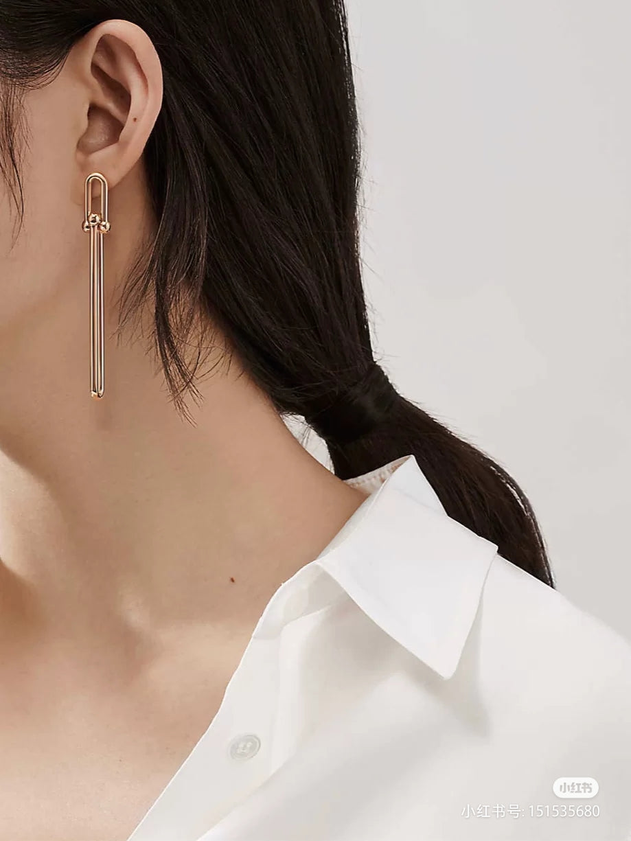 [⭐Sparkve Jewels]HARDWEAR DOUBLE LONG LINK EARRINGS