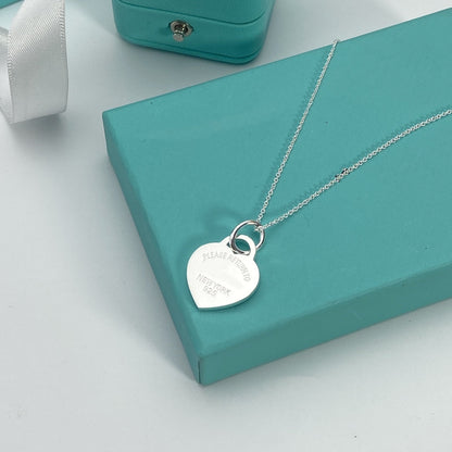 [⭐Sparkve Jewels]HEART PEDANT SILVER NECKLACE