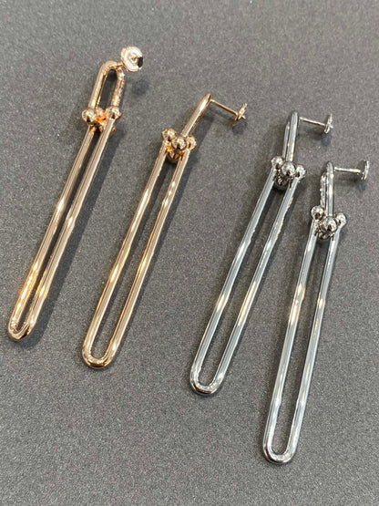 [⭐Sparkve Jewels]HARDWEAR DOUBLE LONG LINK EARRINGS