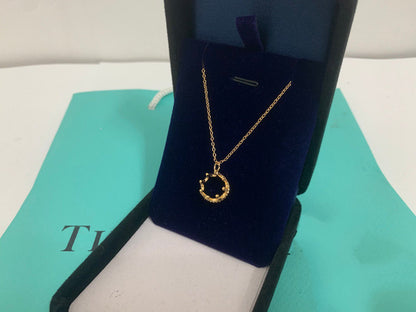[⭐Sparkve Jewels]CROWN NECKLACE MECARI