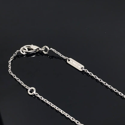 [⭐Sparkve]CLOVER PIETERSITE SILVER LONG NECKLACE