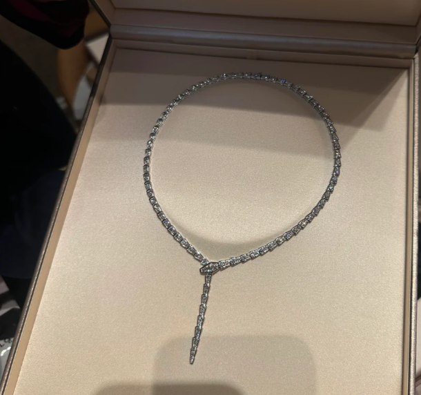[⭐Sparkve]NEW！SERPENT DIAMOND NECKLACE