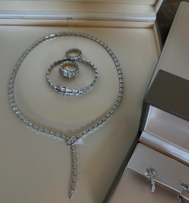 [⭐Sparkve]NEW！SERPENT DIAMOND NECKLACE
