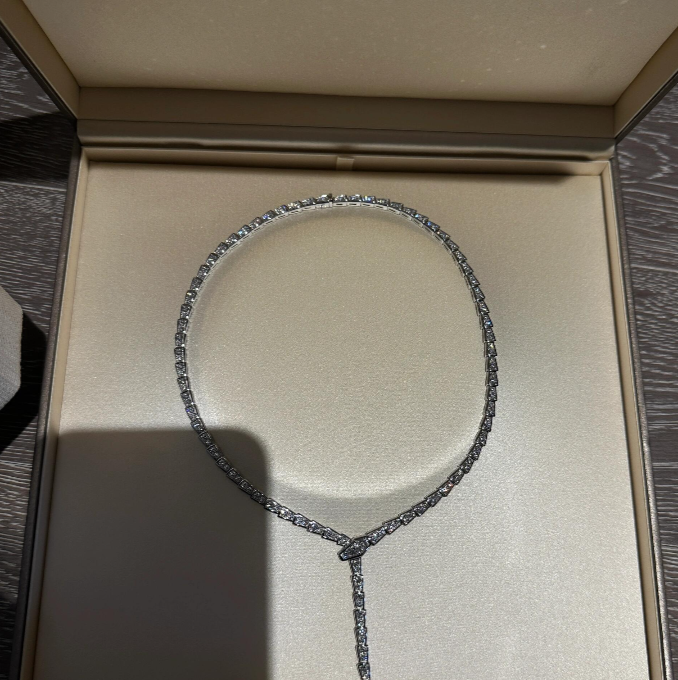 [⭐Sparkve]NEW！SERPENT DIAMOND NECKLACE