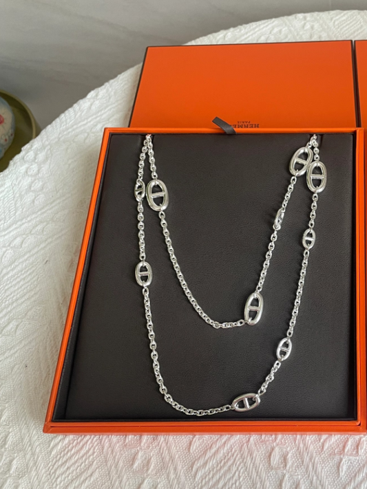 [⭐Sparkve]Classic Silver Sweater Chain