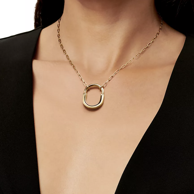 [⭐Sparkve Jewels]LOCK NECKLACE GOLD