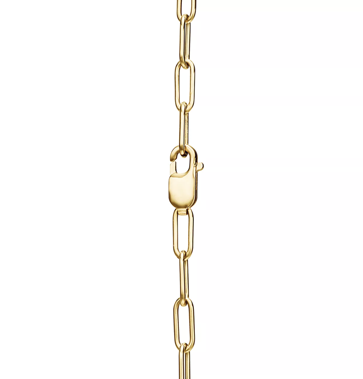 [⭐Sparkve Jewels]LOCK NECKLACE GOLD