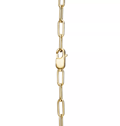 [⭐Sparkve Jewels]LOCK NECKLACE GOLD