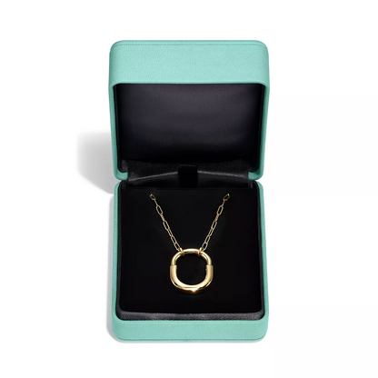 [⭐Sparkve Jewels]LOCK NECKLACE GOLD