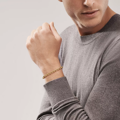 [⭐Sparkve Jewels]HARDWEAR SMALL LINK 26 MOTIF GOLD BRACELET