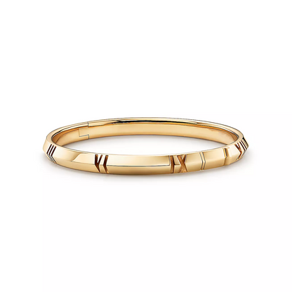 [⭐Sparkve Jewels]ATLAS X GOLD BRACELET