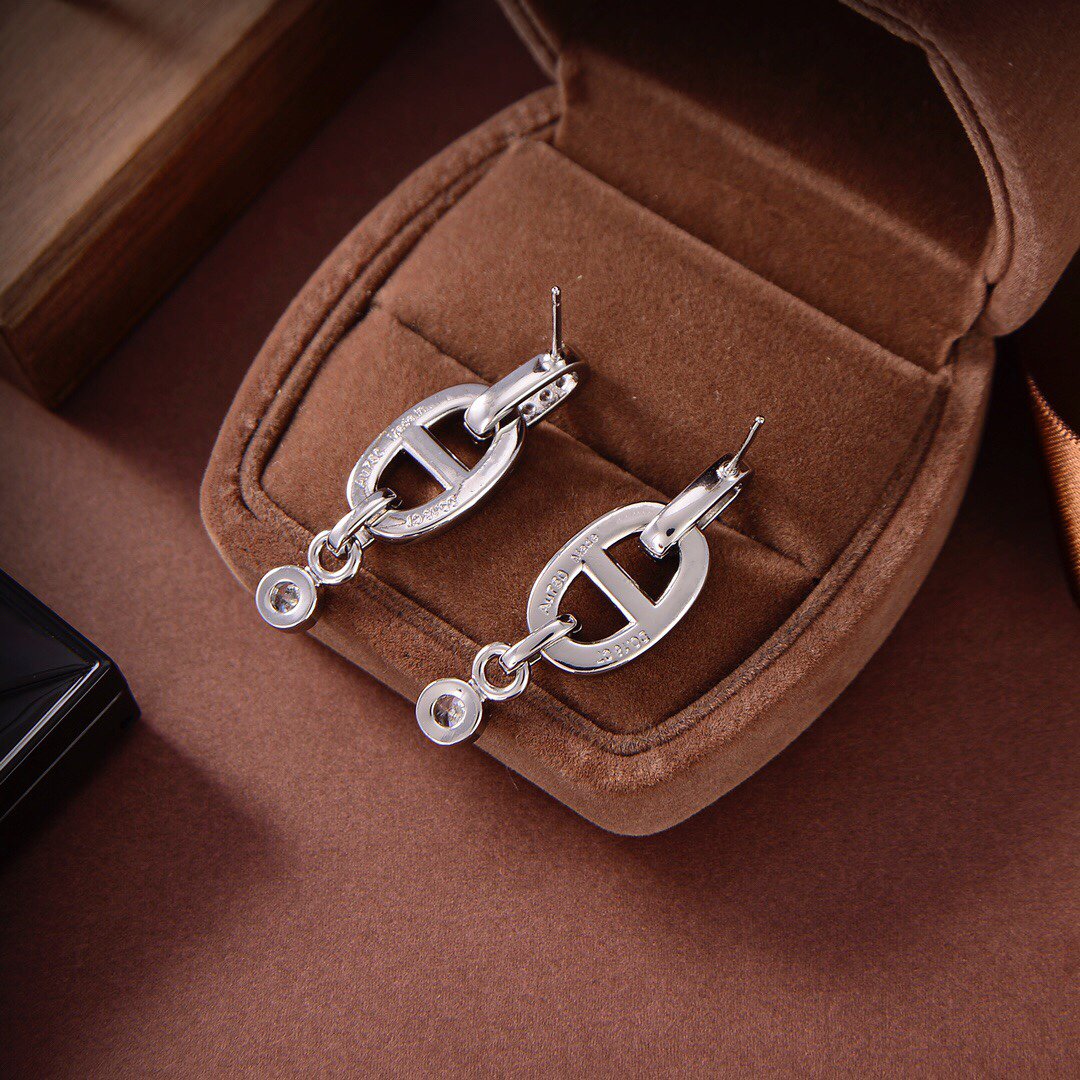 [⭐Sparkve]HM CHAINE DIAMOND EARRINGS