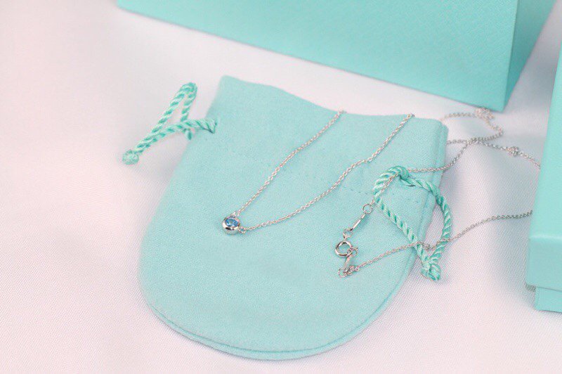 [⭐Sparkve Jewels]ELSA PERETTI SERIES SINGLE DIAMOND SIMPLE NECKLACE