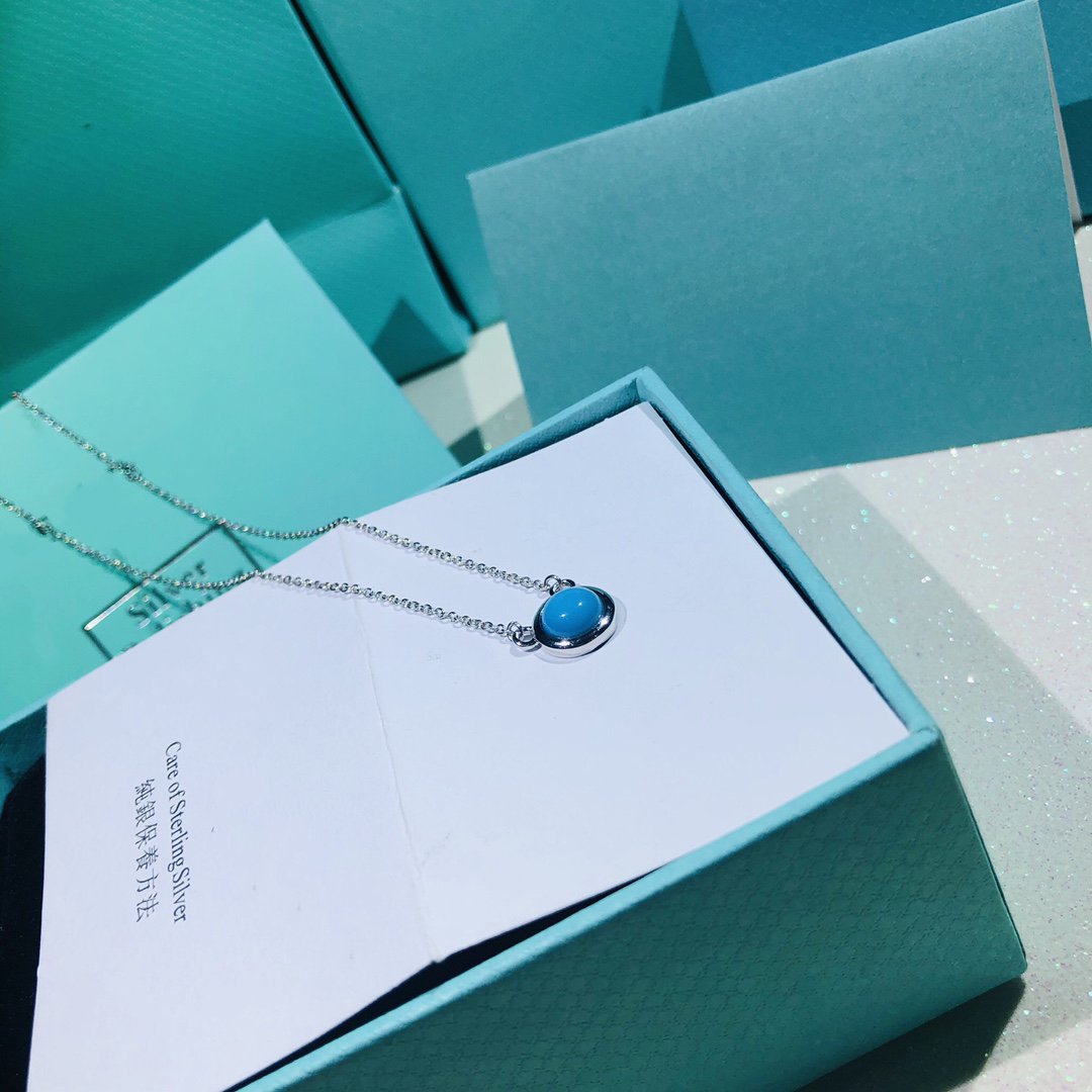 [⭐Sparkve Jewels]YARD TURQUOISE NECKLACE SILVER
