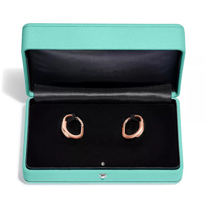 [⭐Sparkve Jewels]LOCK MEDIUM DIAMNOND EARRINGS