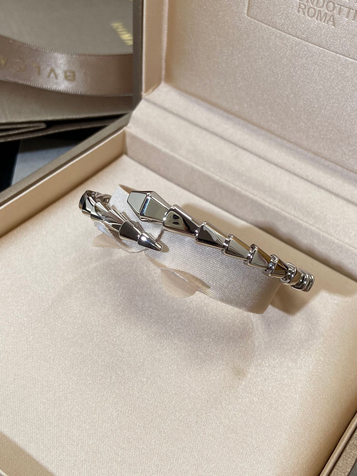 [⭐Sparkve]SERPENTI VIPER SILVER BRACELET