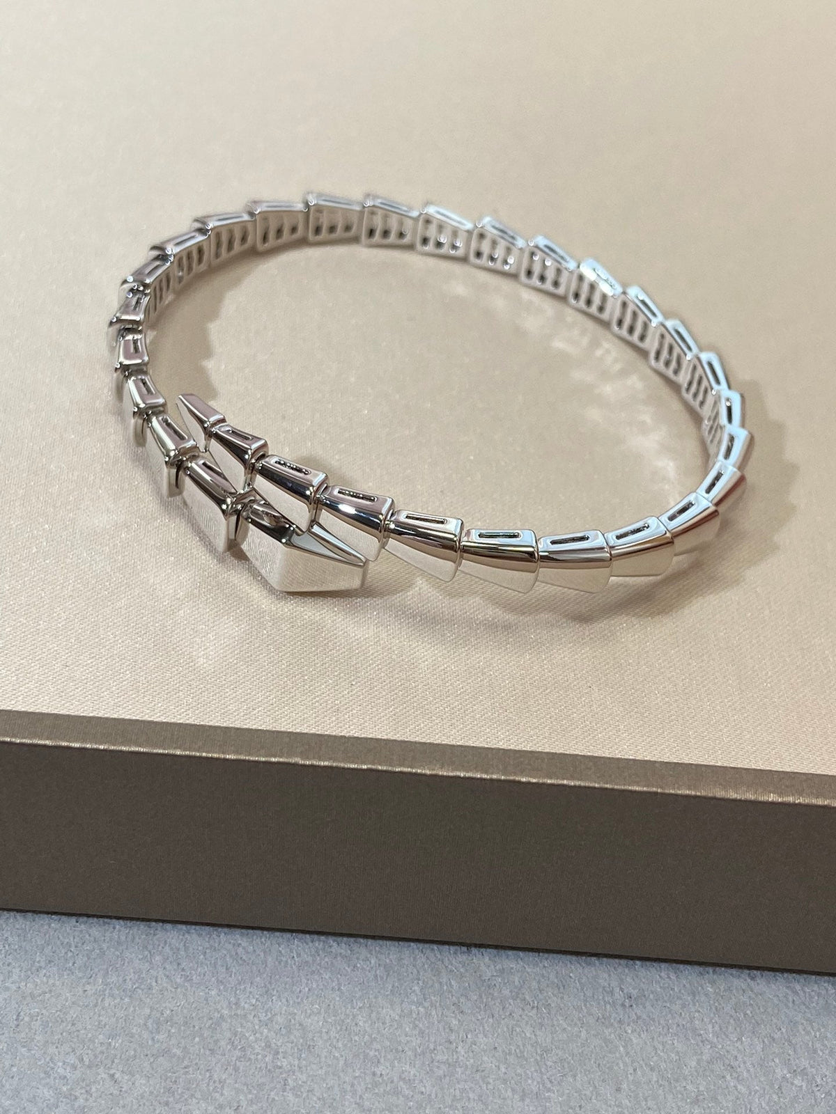 [⭐Sparkve]SERPENTI VIPER SILVER BRACELET